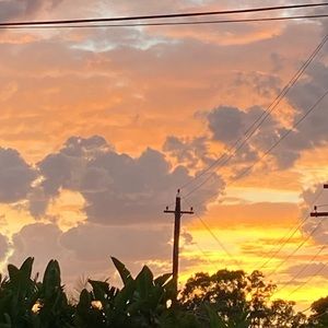 Meet your Posher, Elisa